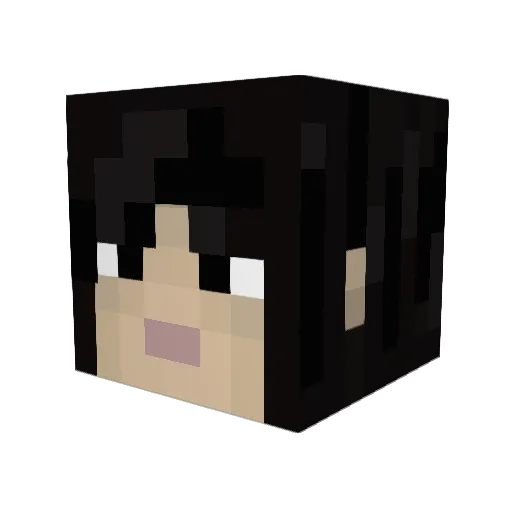 hellomoony Minecraft avatar head, 3D render