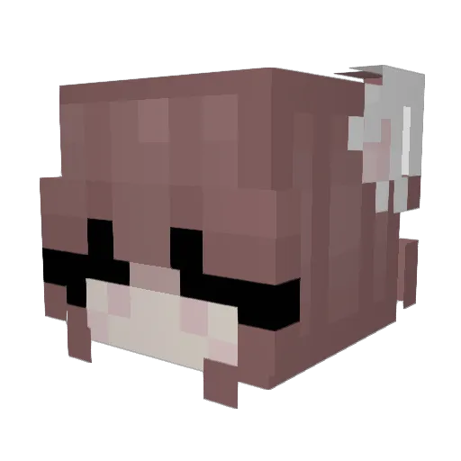 hellslaught3r Minecraft avatar head, 3D render