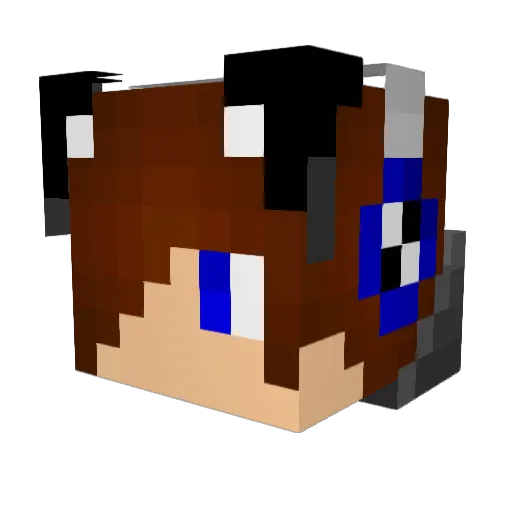 hellsraider64 Minecraft avatar head, 3D render