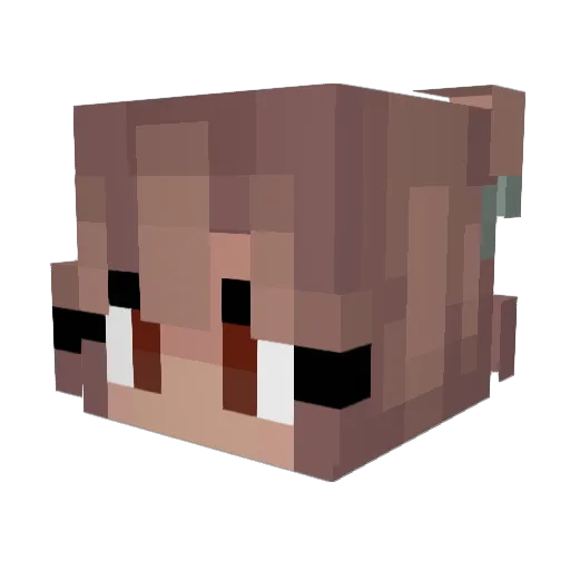 hellyjellyfish Minecraft avatar head, 3D render