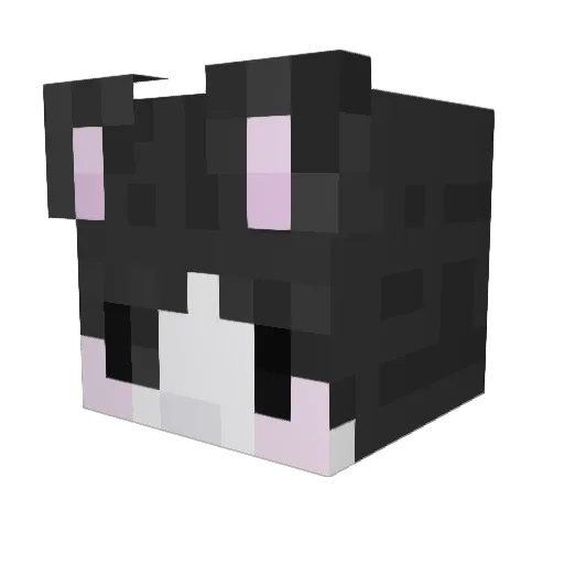 helmitkid Minecraft avatar head, 3D render