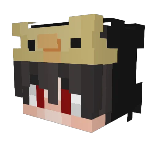 helo1tsangel Minecraft avatar head, 3D render
