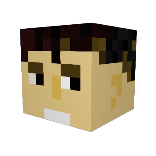help21 Minecraft avatar head, 3D render