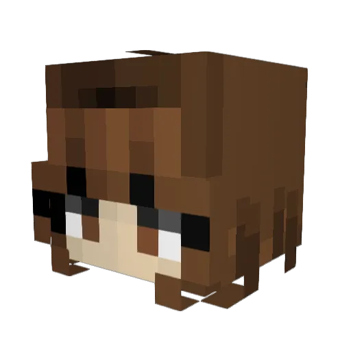 helskyz Minecraft avatar head, 3D render