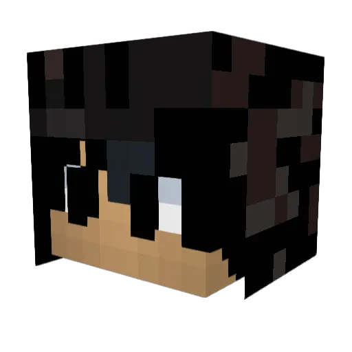 hem25 Minecraft avatar head, 3D render