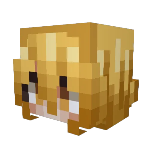 hemlockmirage Minecraft avatar head, 3D render