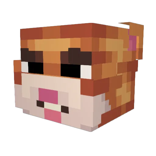 hemstircik Minecraft avatar head, 3D render