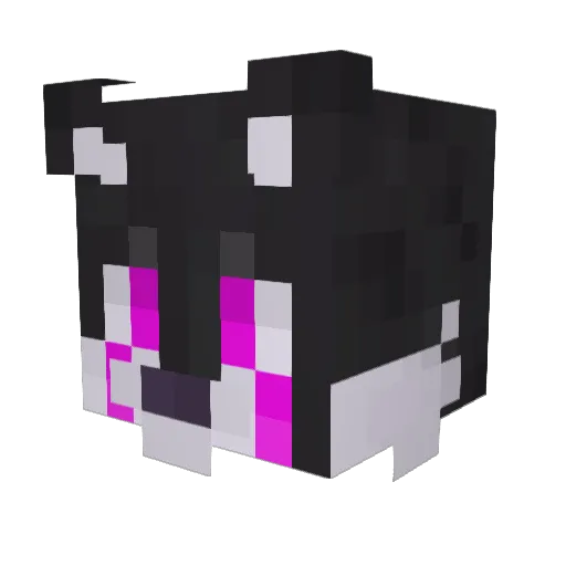 hemuli5407 Minecraft avatar head, 3D render