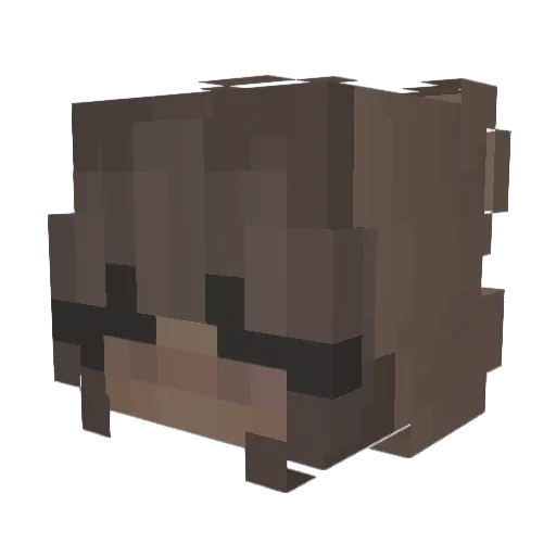 hemzzz Minecraft avatar head, 3D render