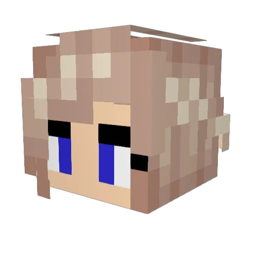 henninos Minecraft avatar head, 3D render