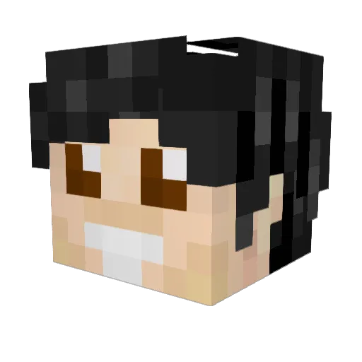 henplump Minecraft avatar head, 3D render
