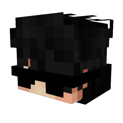 henri_stickmin Minecraft avatar head, 3D render