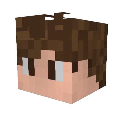 henrique_fnt Minecraft avatar head, 3D render