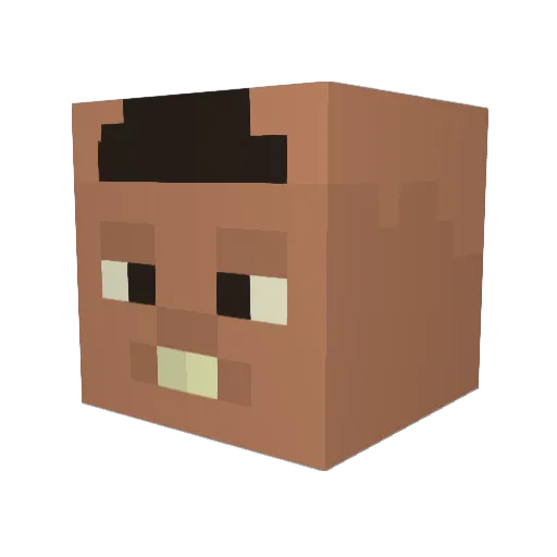 henriquechocapic Minecraft avatar head, 3D render