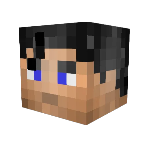 henry_swag224 Minecraft avatar head, 3D render