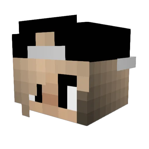 henrybeast927 Minecraft avatar head, 3D render