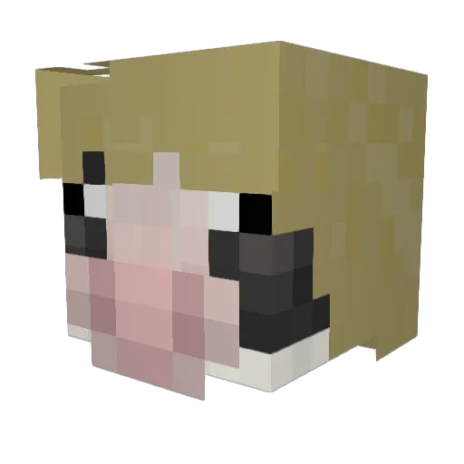 henryetaa Minecraft avatar head, 3D render