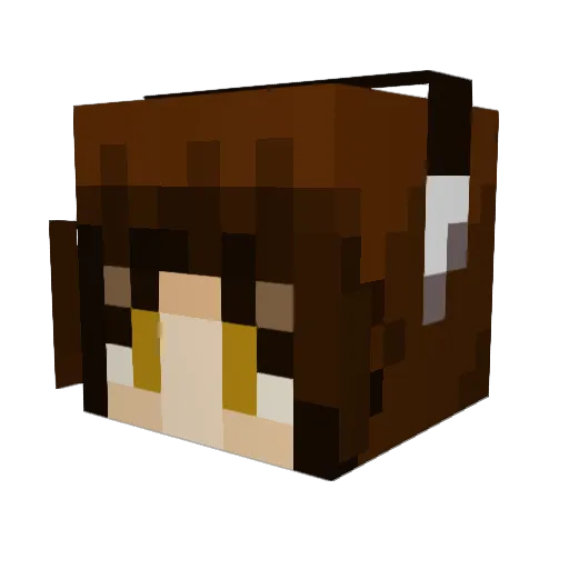 Minecraft-Avatar von henrygalaxy3000: Kopf als 3D-Render