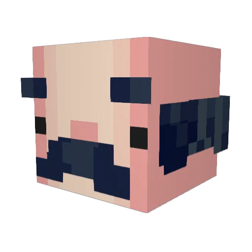 henswieee Minecraft avatar head, 3D render