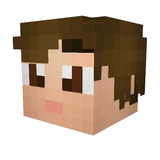 her3ticmeerkat Minecraft avatar head, 3D render