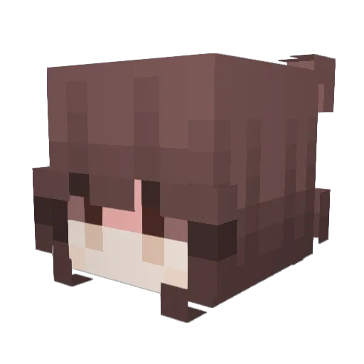 her_unequaled152 Minecraft avatar head, 3D render
