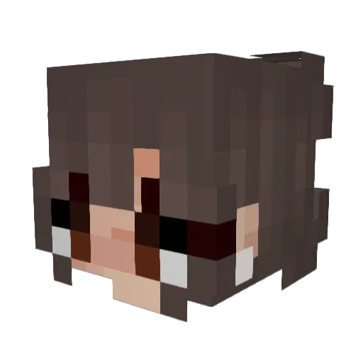 heracaine Minecraft avatar head, 3D render