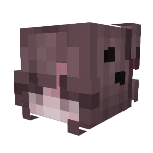 heracosmic Minecraft avatar head, 3D render