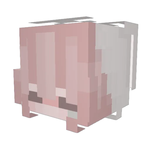 herbri Minecraft avatar head, 3D render