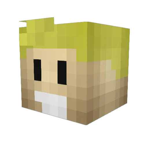 herbyrockt Minecraft avatar head, 3D render