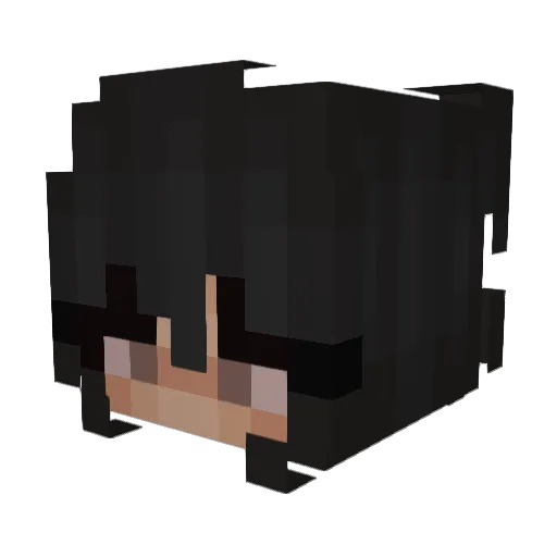 herdsofdogs Minecraft avatar head, 3D render