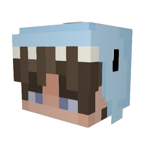 here_we_go_fam Minecraft avatar head, 3D render