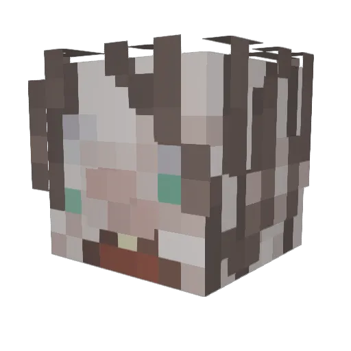 heremitus Minecraft avatar head, 3D render