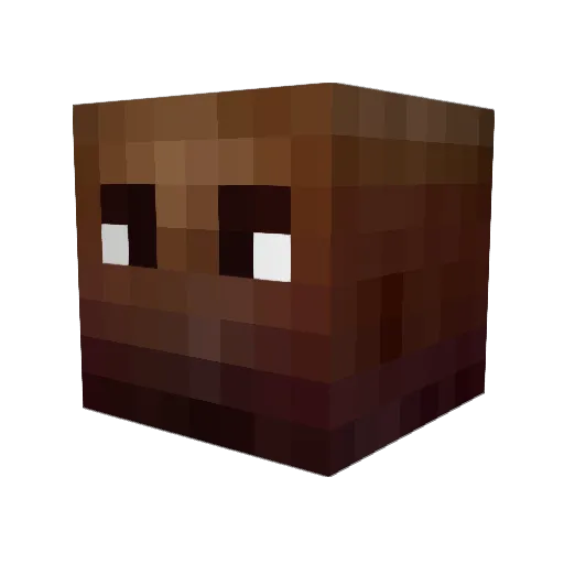 heretoplay645 Minecraft avatar head, 3D render