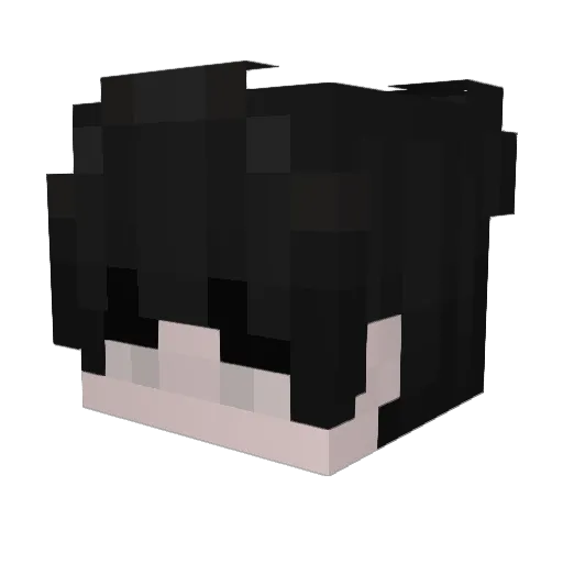 hermes676 Minecraft avatar head, 3D render