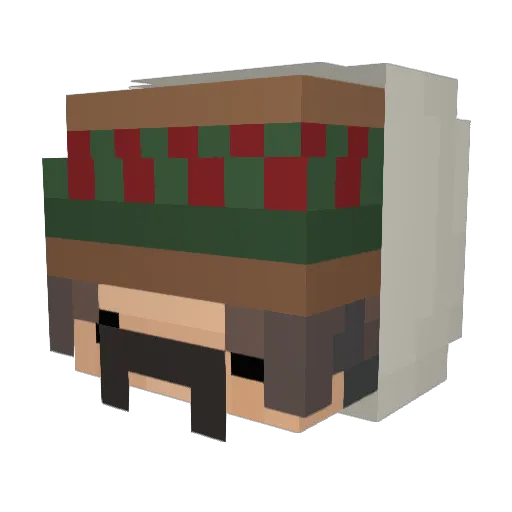 hermiona20 Minecraft avatar head, 3D render