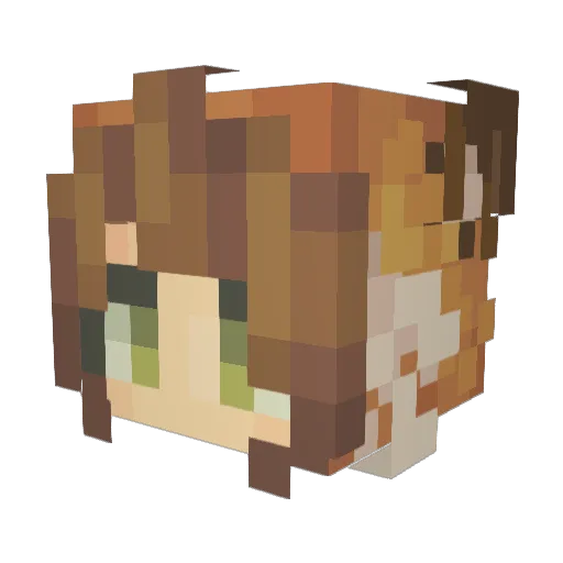 hernsjeft Minecraft avatar head, 3D render