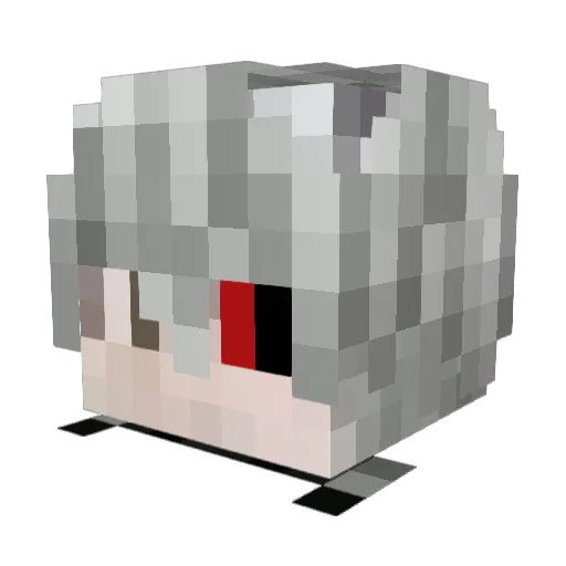 hero_braine Minecraft avatar head, 3D render