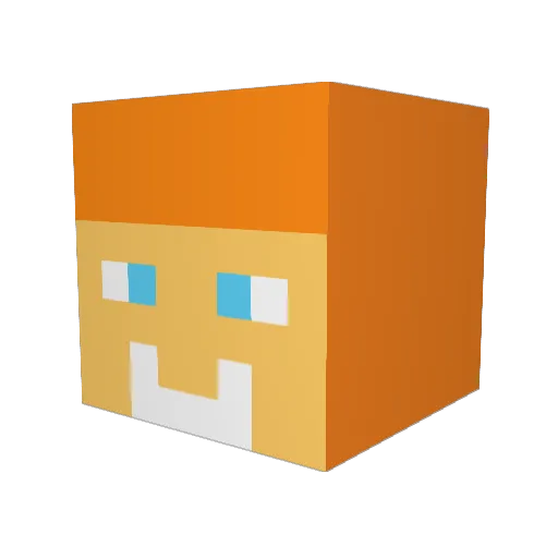 hero_brine_exe Minecraft avatar head, 3D render