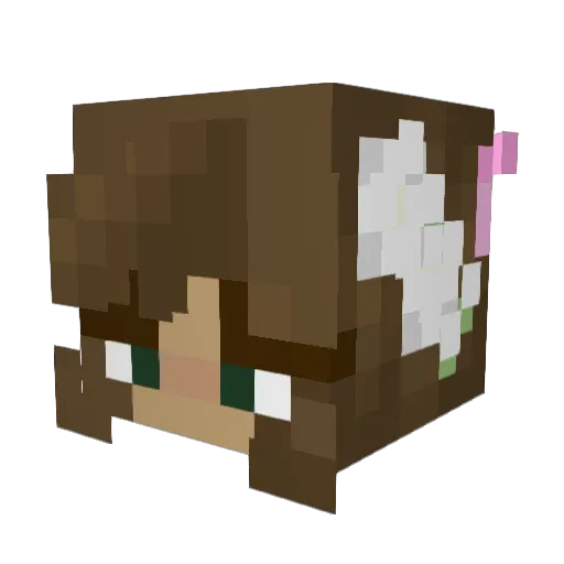 heroamit Minecraft avatar head, 3D render