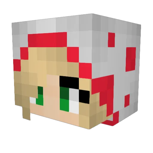 herobrinej18 Minecraft avatar head, 3D render