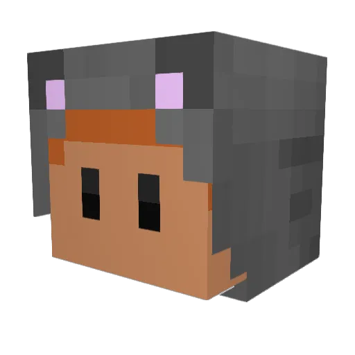heroijsbeer Minecraft avatar head, 3D render