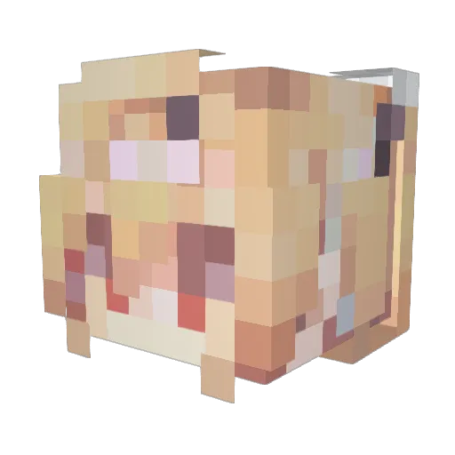 herperer Minecraft avatar head, 3D render