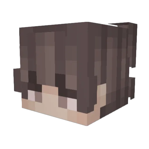 herrWinkler1232 Minecraft avatar head, 3D render