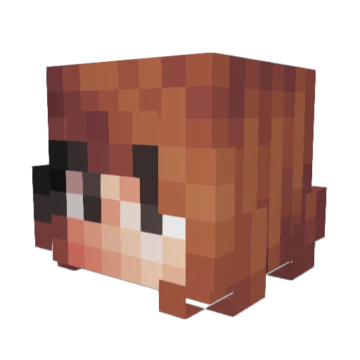 herrokiteh Minecraft avatar head, 3D render