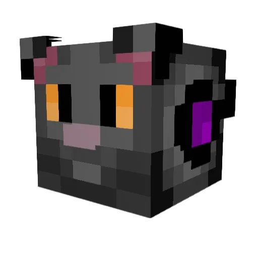 herron571 Minecraft avatar head, 3D render
