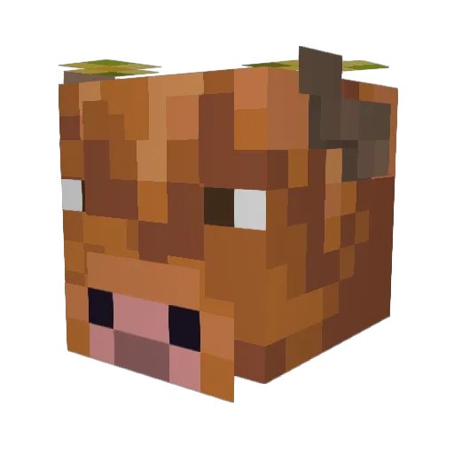 herwoys Minecraft avatar head, 3D render