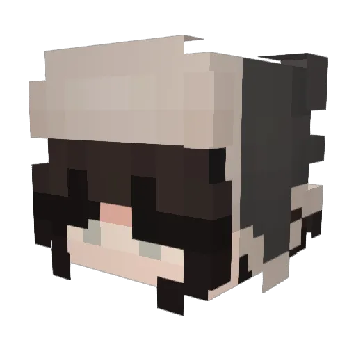 herzensbrast Minecraft avatar head, 3D render