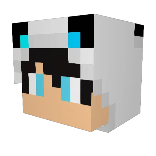 herzensburger Minecraft avatar head, 3D render