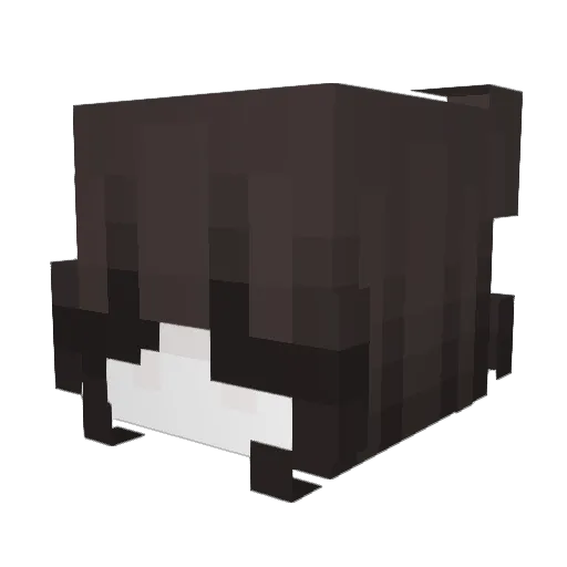 hesei Minecraft avatar head, 3D render