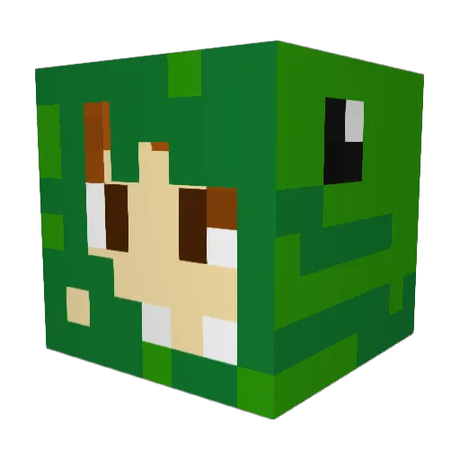 hewhosmeltit Minecraft avatar head, 3D render